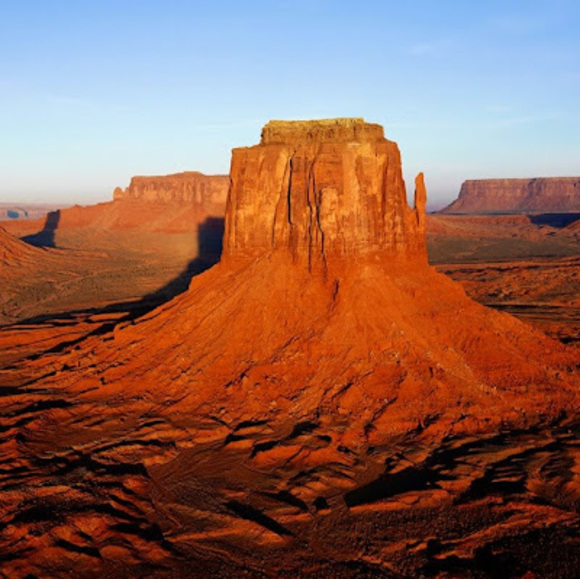 Meet your Posher, Sammie - Picture 1 of 1